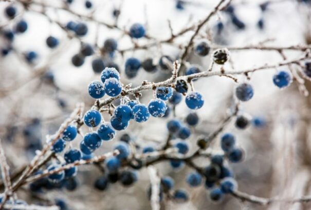 Derűs idő várható az új év második napján
