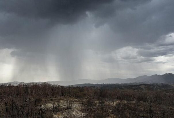Ausztrál tűzvész: Kissé fellélegezhetnek, megjött az eső