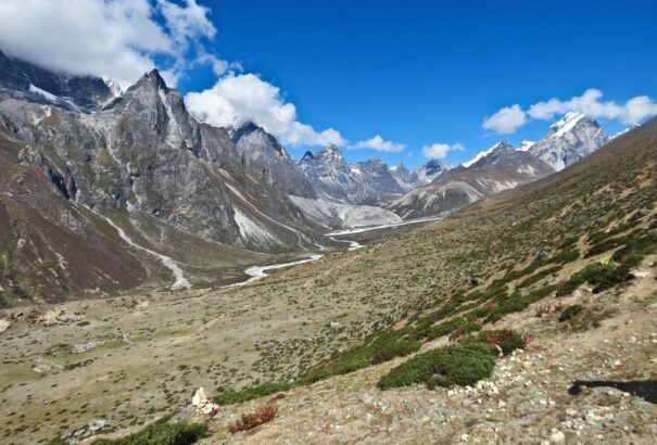Egyre több növény él a Mount Everest térségében