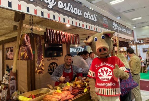 Világiék összefogtak a dánokkal – több milliós támogatást kaptak dán mintájú sertéstenyésztésre