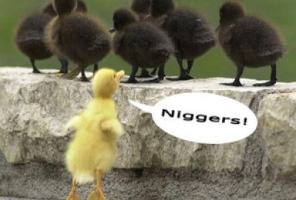 Európa Tanács: növekedett a nacionalizmus, az antiszemitizmus, és a muzulmánokkal szembeni gyűlölet Európában