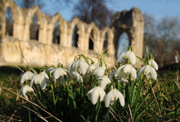 Derűs, csapadékmentes időnk lesz szombaton