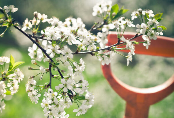 Kellemes tavaszi idő várható 16 fokkal