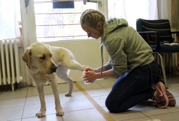 Hogyan tartsunk állatot a kijárási tilalom alatt?