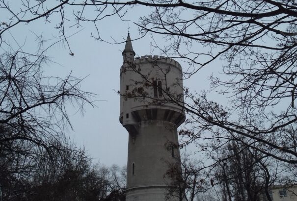 Buday Mária: Számonkérés 2020