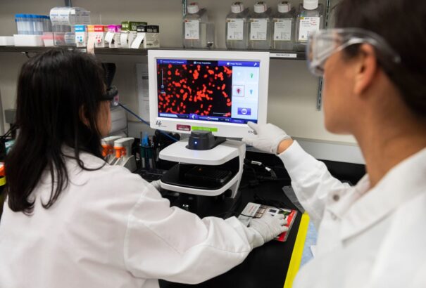 Koronavírus – Az Egyesült Államokban csökken a halálos áldozatok száma