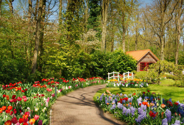 Kellemes tavaszi idő várható 17 fokkal