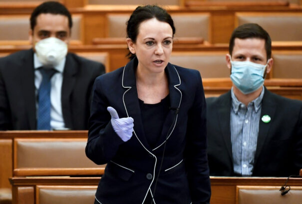 A magyar ellenzéki képviselő a külhoni magyaroknak adott maszkokat rótta volna fel a kormánynak, de széttapsolták (Videó)