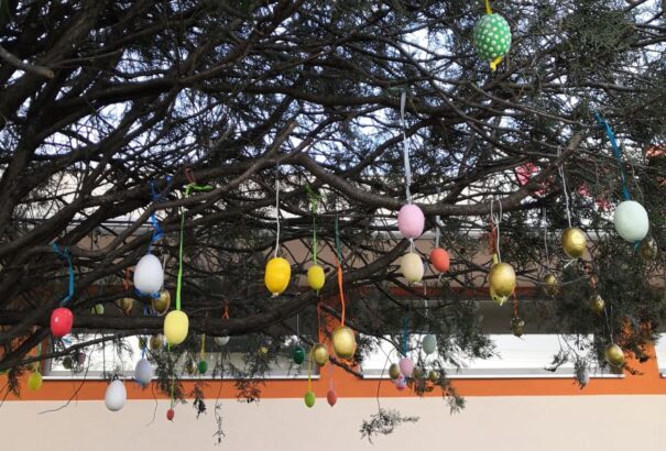 Színpompás tojásfa Illésházán