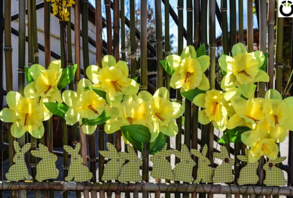 Különleges húsvét a házaknál –  A Körkép.sk csodálatos képriportja