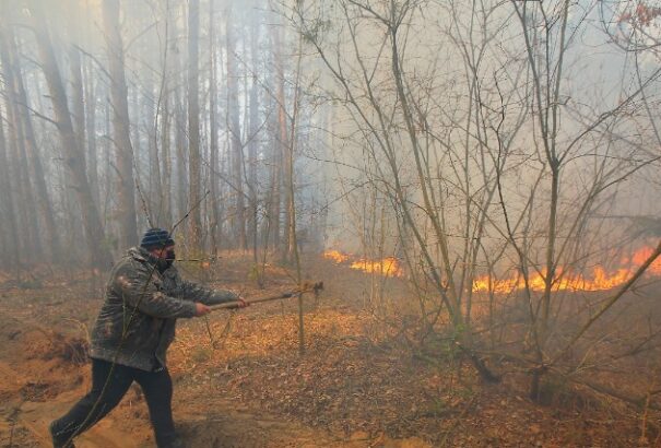 Ismét kiújultak a tüzek a csernobili zónában
