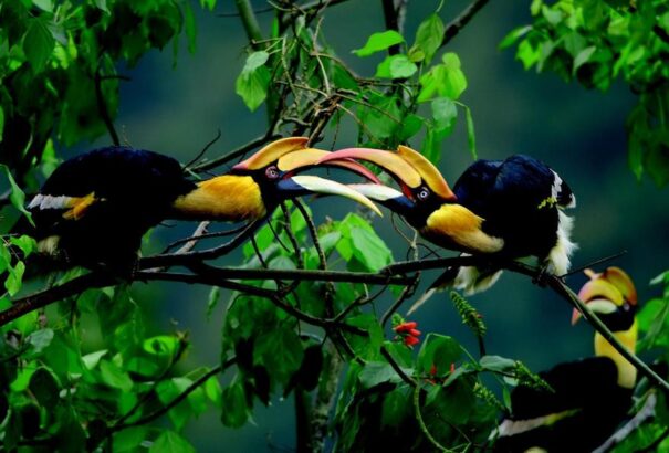 A Netflix tíz dokumentumfilmet tesz ingyen elérhetővé a YouTube-csatornáján