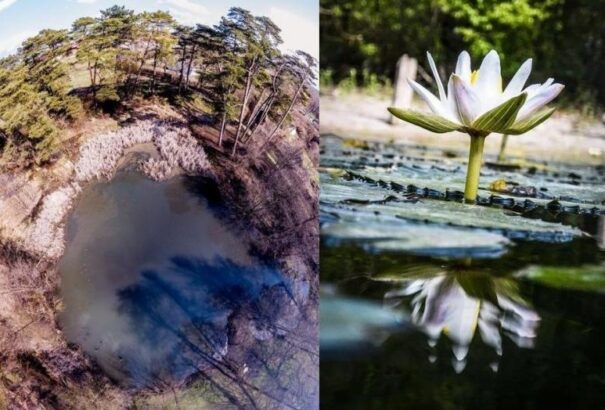 Koronavírus – A turizmus leállása miatt újra termálvízzel telt meg a korábban kiszáradt püspökfürdői tó