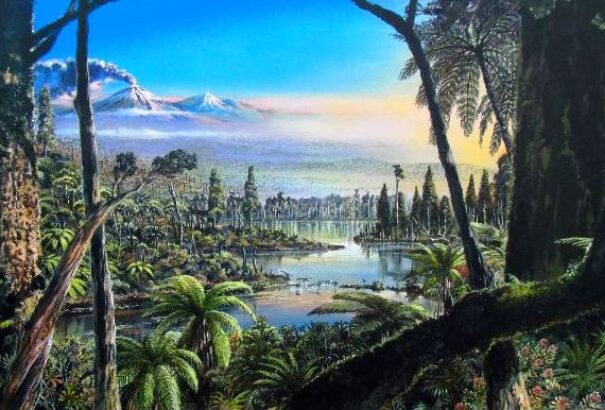 Nagyon régi esőerdő maradványaira bukkantak az Antarktiszon