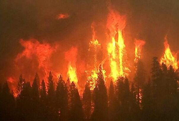 Még mindig fullasztó Kijev levegője a csernobili zónában és a környéken kigyulladt tüzek miatt