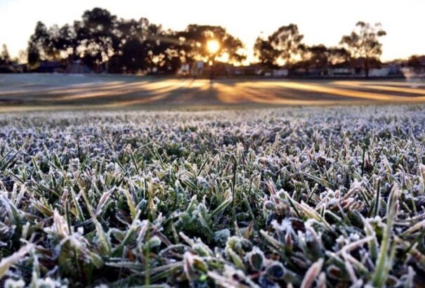 A meteorológusok riasztást adtak ki az alacsony hőmérséklet és a talaj menti fagy miatt