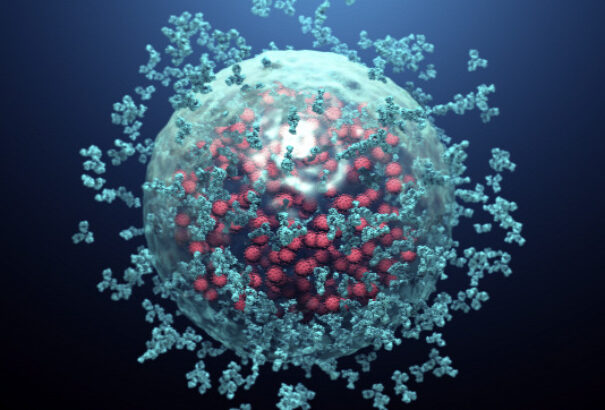 Sikerült kifejleszteni a koronavírus antitestjét laboratóriumi körülmények között