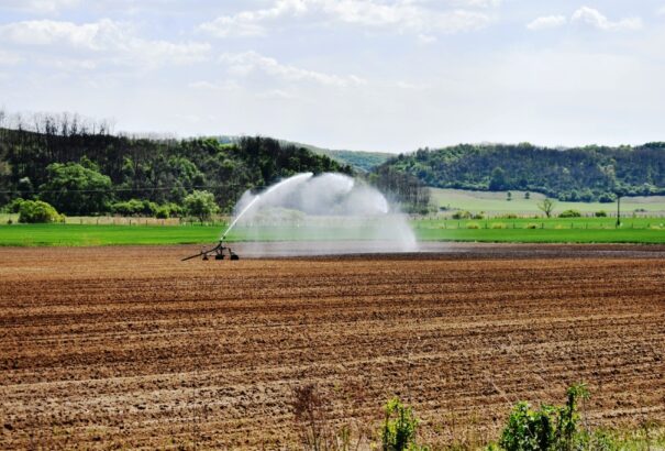 Egy pandémiás utazás Gömörben – Képekkel