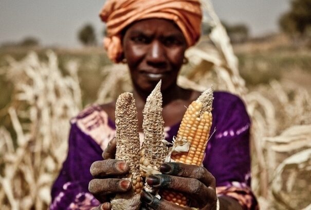 Élelmiszerválság előjelei Eurázsiában, bibliai méretű éhínség-hullám a világban (térkép)