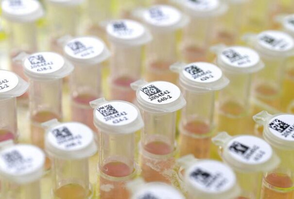 Fellángolt a vita a veszélyes virológiai kísérletekkel kapcsolatban