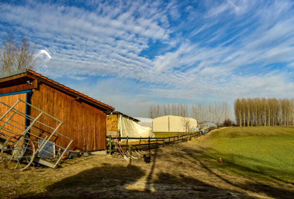 Nagy változások előtt az agrárszektor: Végre a kisgazdák etethetnek bennünket. Aki hatékony, több támogatást kaphat