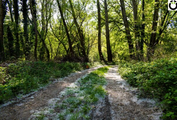 A természet rejtelmei – Képriport