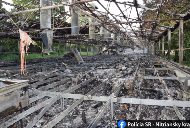 Leégett egy baromfikeltető csarnok Nyitrán. Mintegy 6500 baromfi pusztult el