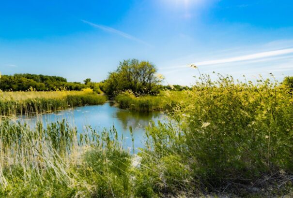 Szombaton szinte mindenhol a napsütésé lesz a főszerep – használjuk ki