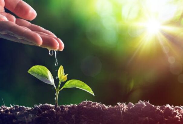 Fókuszban a környezetvédelem – Ma van a Környezetvédelmi Világnap