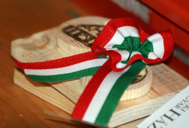 Politikai nyilatkozatot fogadott el a magyar Országgyűlés a nemzeti önazonosság védelméről