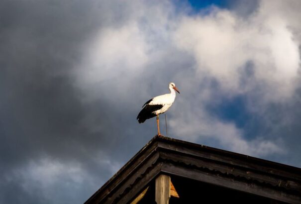 Országszerte borús, esős időnk lesz