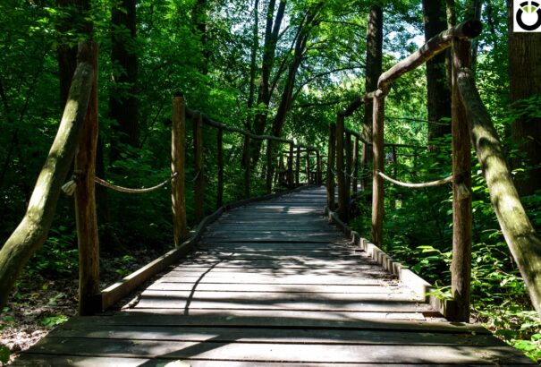 Használja ki a napsütést, fedezze fel a Csallóközt! A dunatőkési vízimalom- Képriport