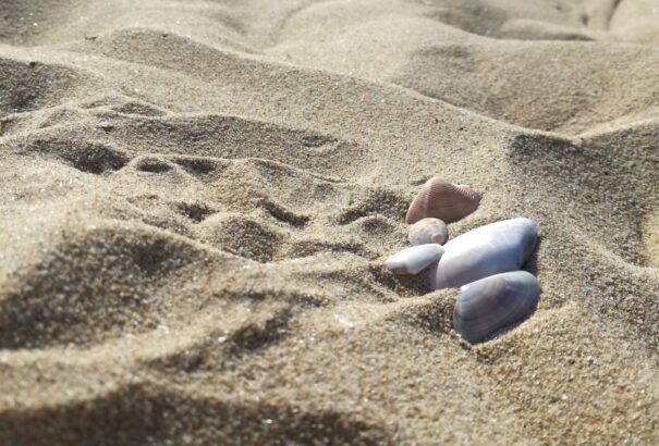 Árnyalatok 04 – Napospart