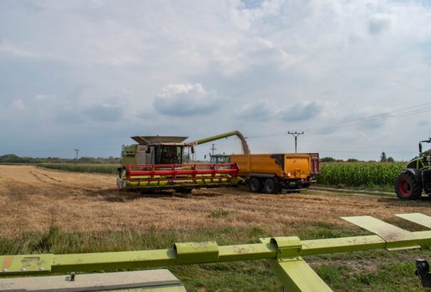 Agrárkamara: Az ország déli részén elkezdődött az aratás