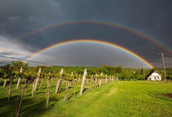 Borús, esős idő lesz vasárnap, de fázni nem fogunk