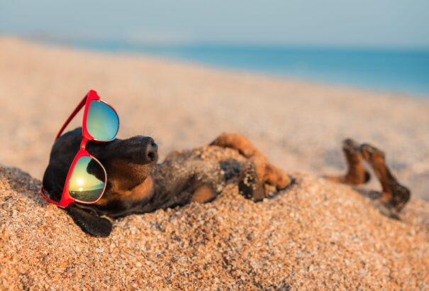 Csütörtöktől visszatér a hőség