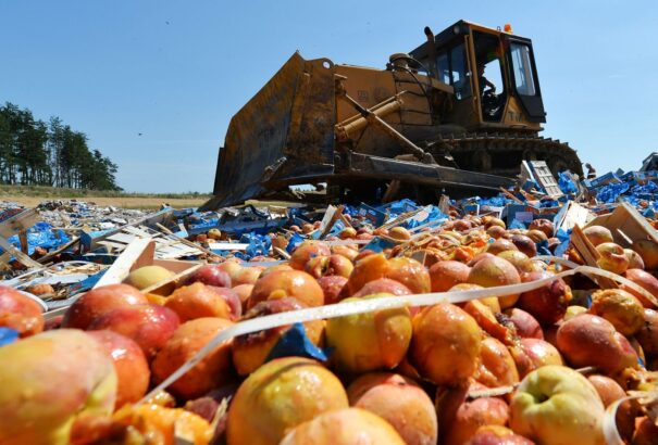 Öt év alatt 36 ezer tonna embargós élelmiszert semmisítettek meg Oroszországban