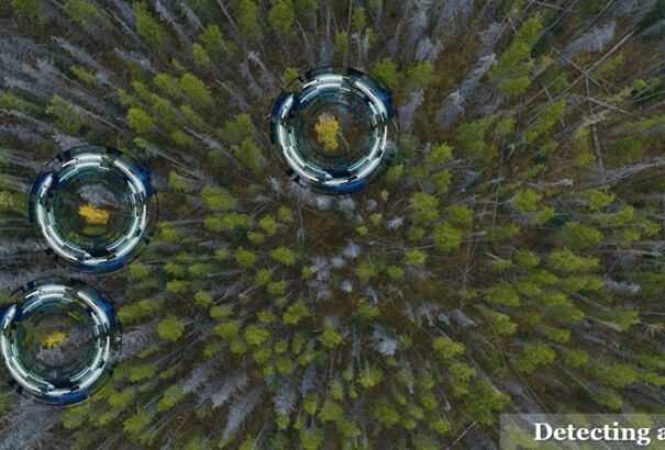 Drónokat küldenek az erdőirtásokra