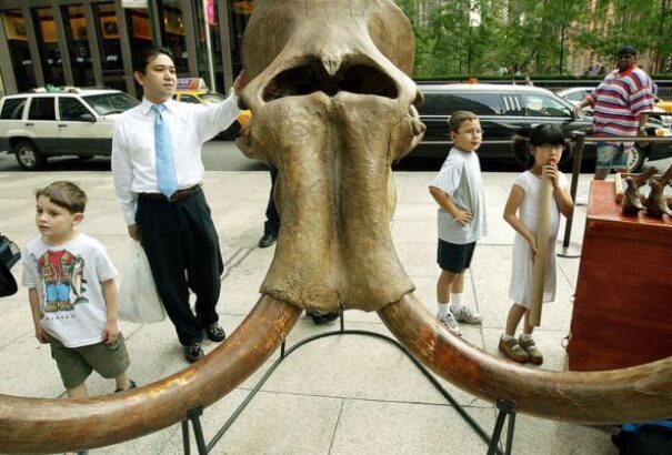 Több száz emlősfaj hallhat ki az évszázad végére egy tanulmány szerint