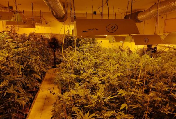 A Komáromi járásban razziázott a NAKA, droglaborra bukkantak