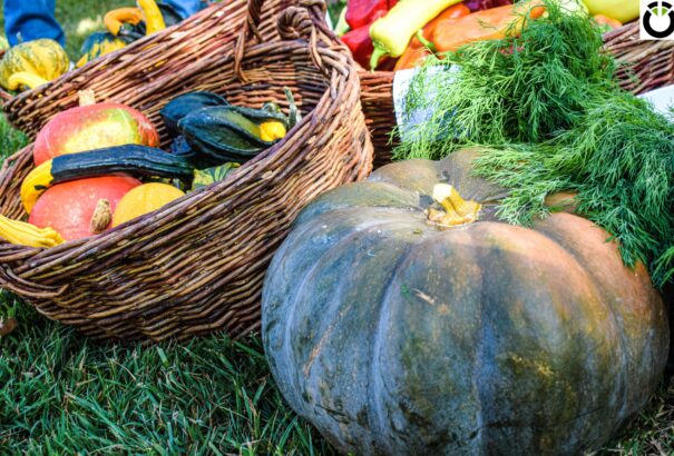 Őszi vásárolgatás Csilizközben – Egy őstermelői piac színei képekben