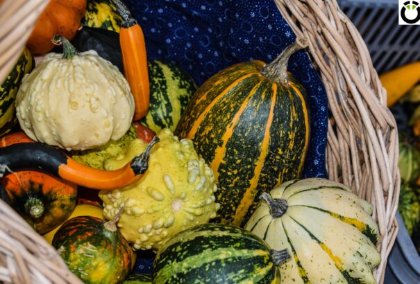 Megnyitotta kapuit a gútai mezővárosi termelői piac – Képekkel