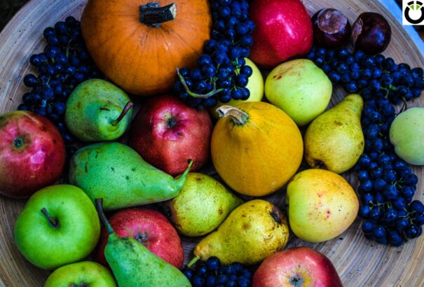 Szüreti hétvége Bősön: Fesztiválbeszámoló képekkel