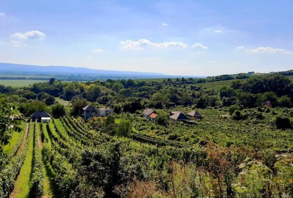 ISTER-GRANUM HERITAGE – Helyi termék értékesítési infrastruktúrájának fejlesztése