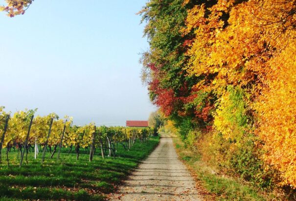 Napsütéses, meleg idő várható szerdán
