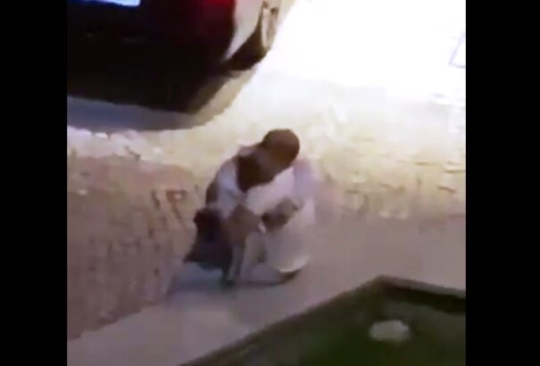 Sokkoló videó került nyilvánosságra a pozsonyi Slovan tulajdonosáról és a csapat válogatott játékosáról