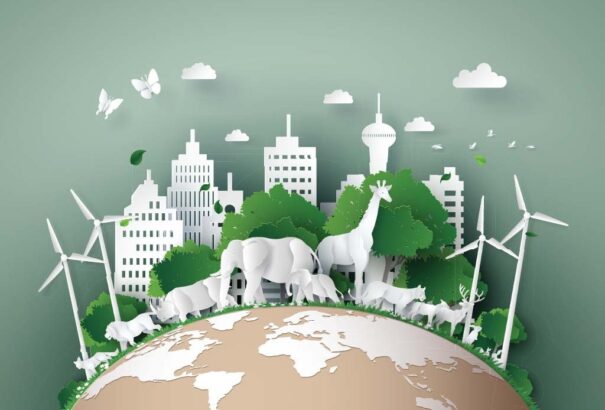 Szeressük az állatokat! Ne csak a mai világnapjukon