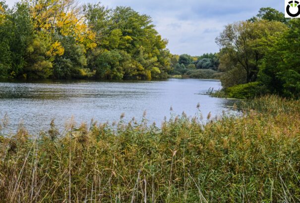 A víz nagy úr – tartós esőzések, megemelkedett vízszint a Dunaszerdahelyi járásban (Képriport)