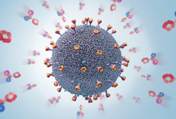 Koronavírus – Tanulmány: Gyorsan kifogyunk az antitestekből, miután átesünk a betegségen