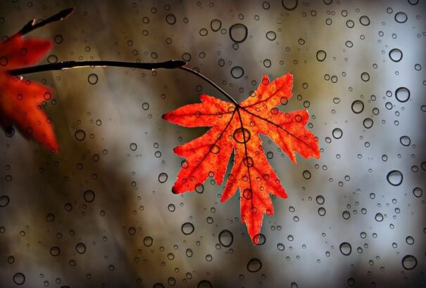 Borús, esős idő várható október első napján